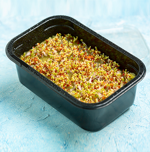 Mikro Dalga Yemek Kapları